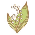精美线稿插画
