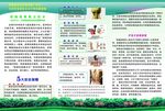三折页宣传单