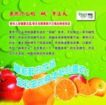 饮品大海报