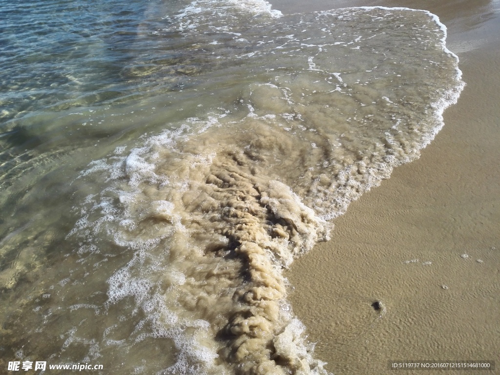 大海沙滩