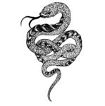 黑白蛇纹身