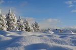 大雪覆盖