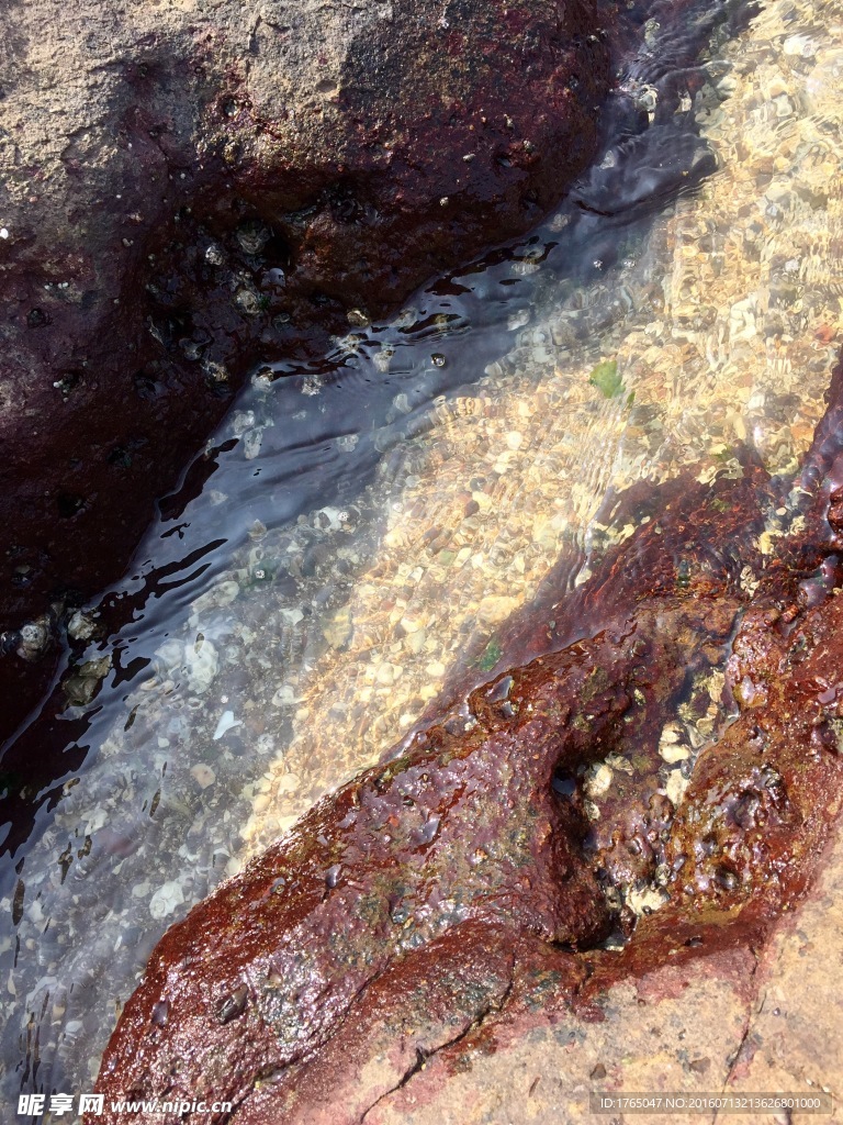 海水