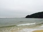 大海