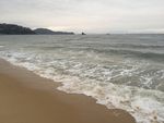 大海