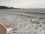 大海