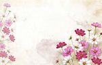 花背景