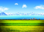 美丽的青海湖
