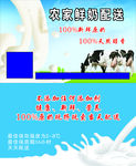 农家鲜奶名片