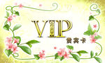 高档会员卡模板素材