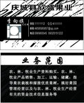 黑色名片