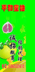 平和蜜柚