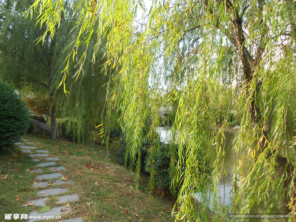 河边小路