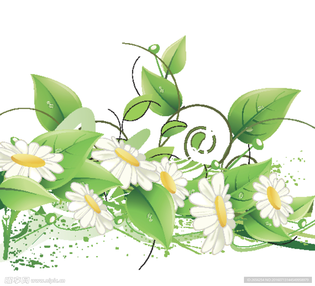 清新雏菊藤蔓矢量