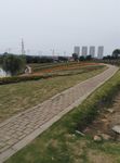 无锡园林风景