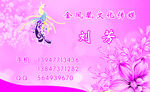 礼仪公司名片