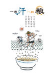 节约粮食