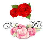 红玫瑰 鲜花花纹