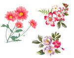 梦幻花朵 水彩花朵