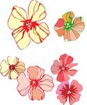 花朵简笔画