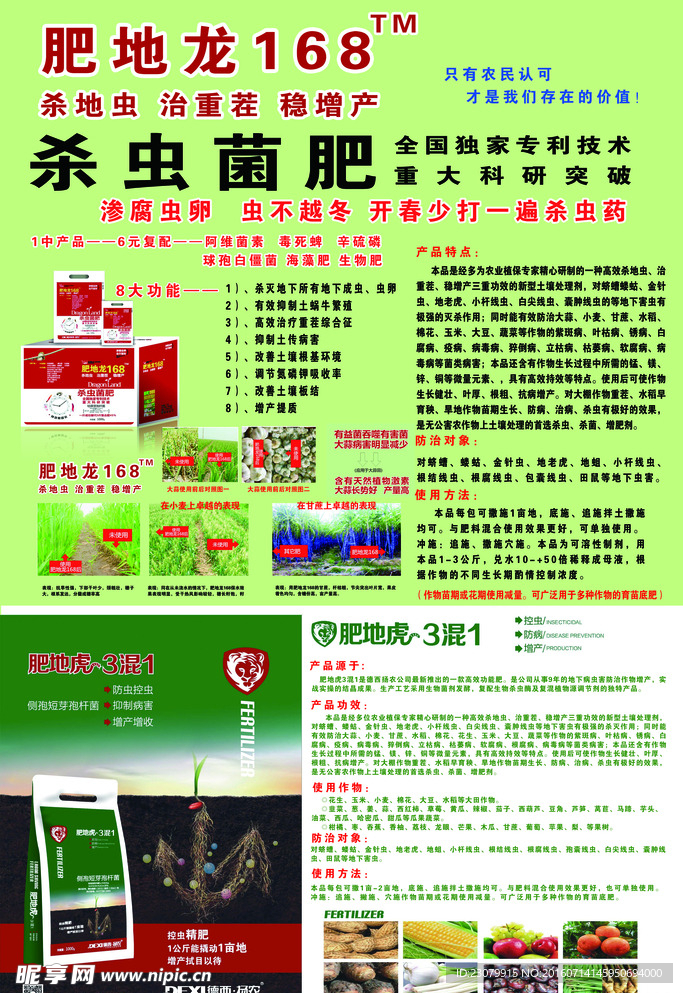 肥地龙