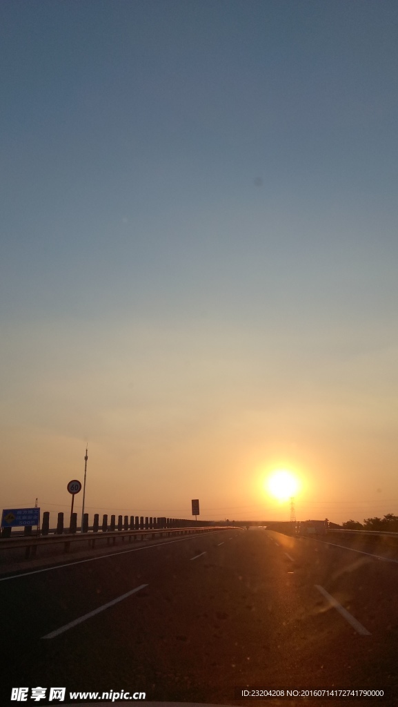 夕阳红