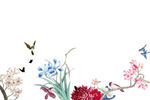 中国风花鸟素材