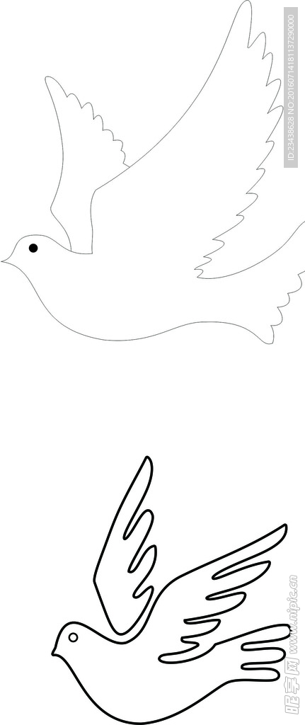 鸽子