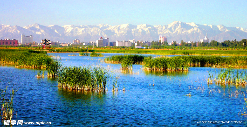湿地公园
