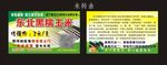 黑玉米