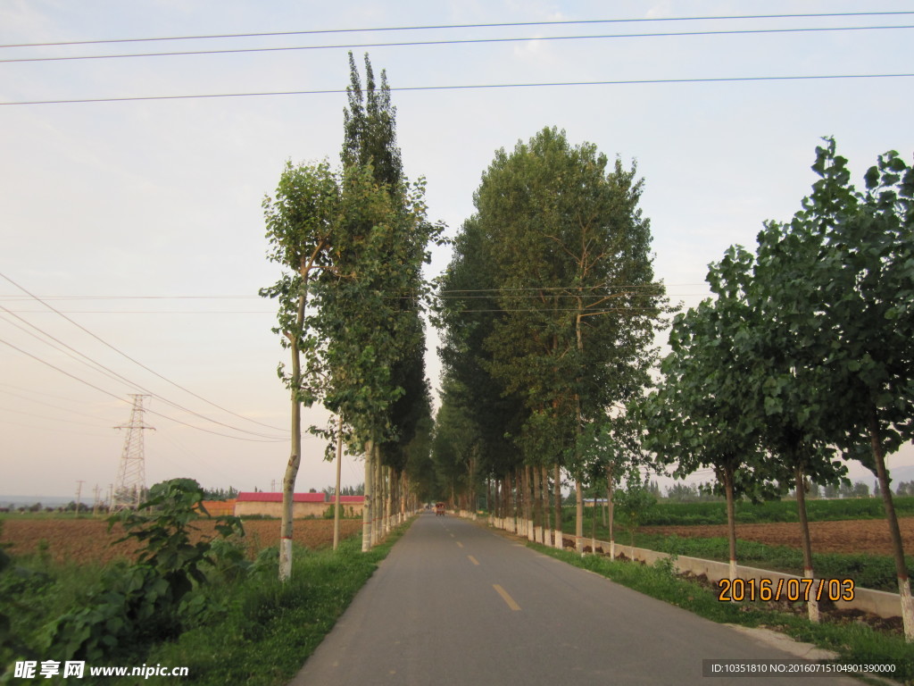 长安乡间道路