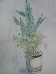 盆栽绘画
