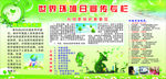 世界环境日宣传栏