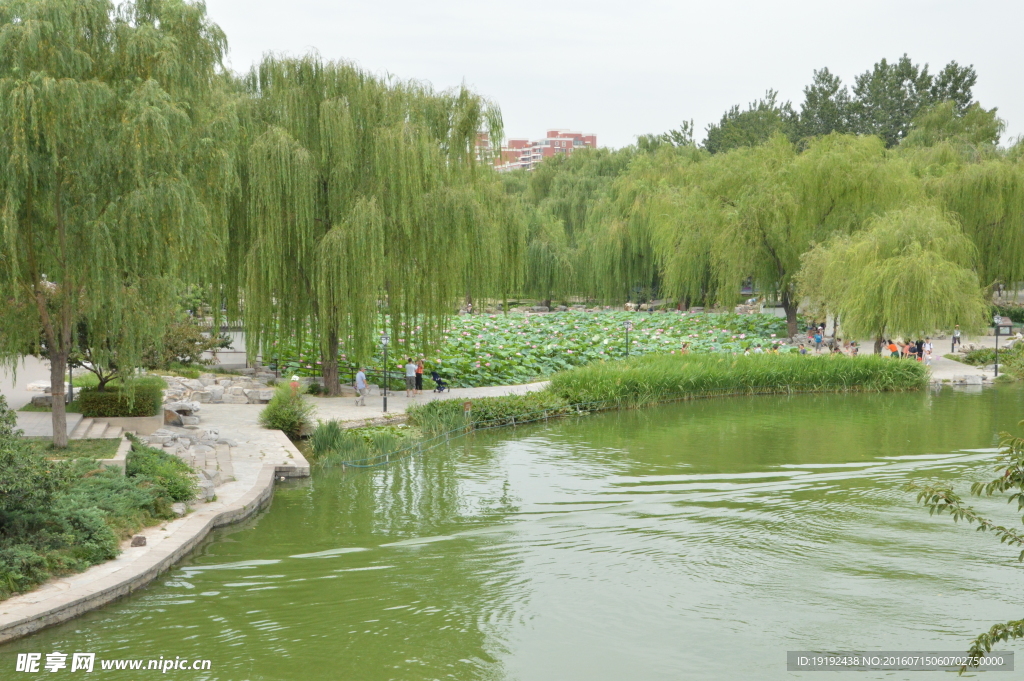 陶然亭风景