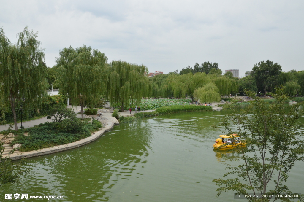 陶然亭风景