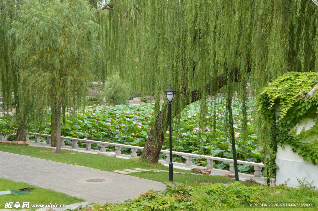 陶然亭风景