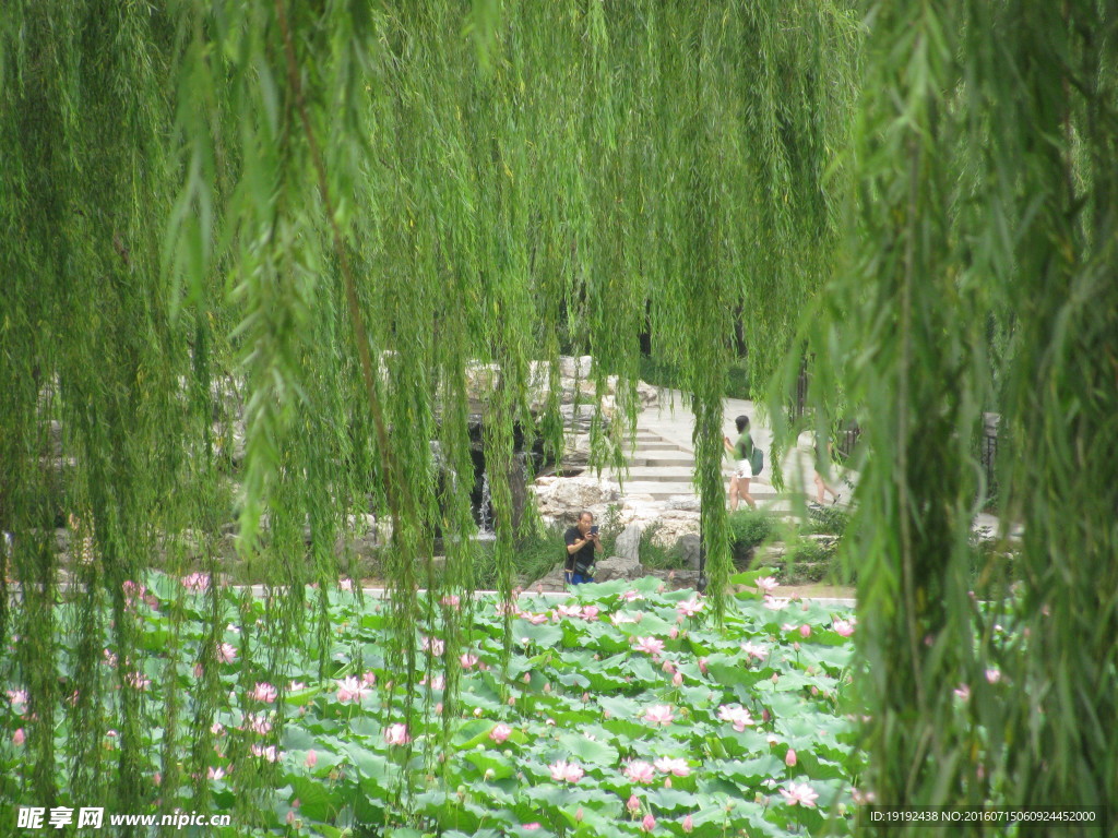 陶然亭风景