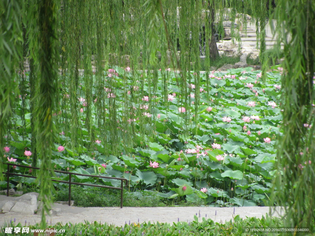 陶然亭风景