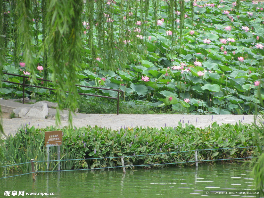 陶然亭风景