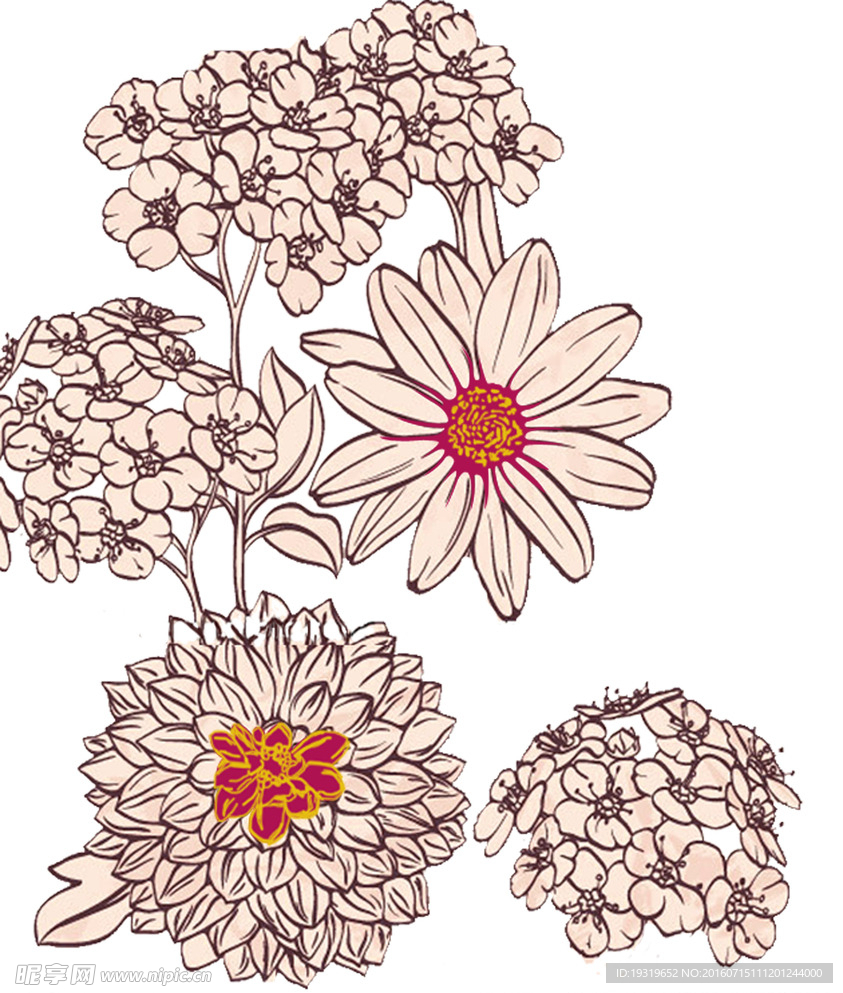 花卉