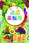 水果采摘季海报