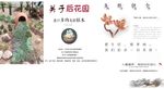 盆栽喷绘