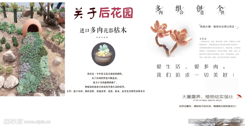 盆栽喷绘