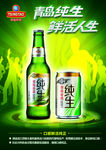 青岛纯生鲜活人生