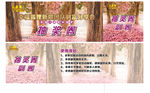 抽奖券