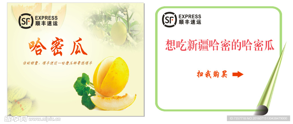 哈密瓜贴纸