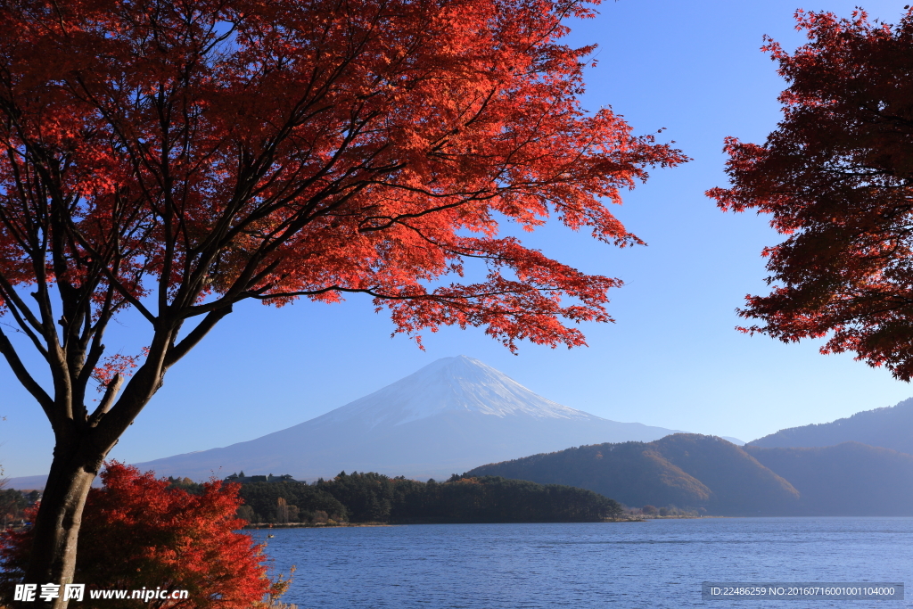 富士山