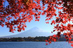 富士山