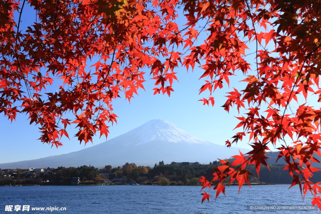 富士山