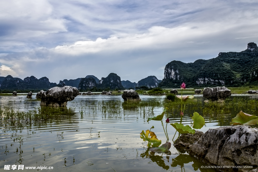 毛塘湿地